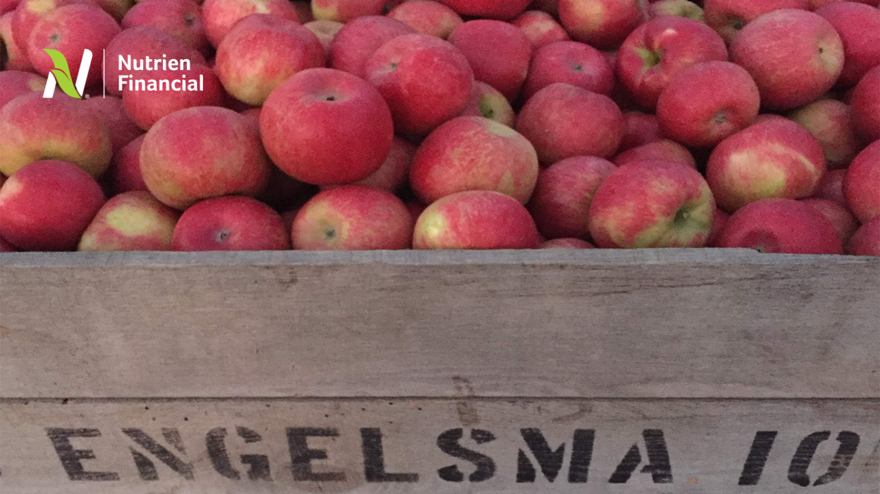 Teaching the Younger Generation About Financial Responsibility 