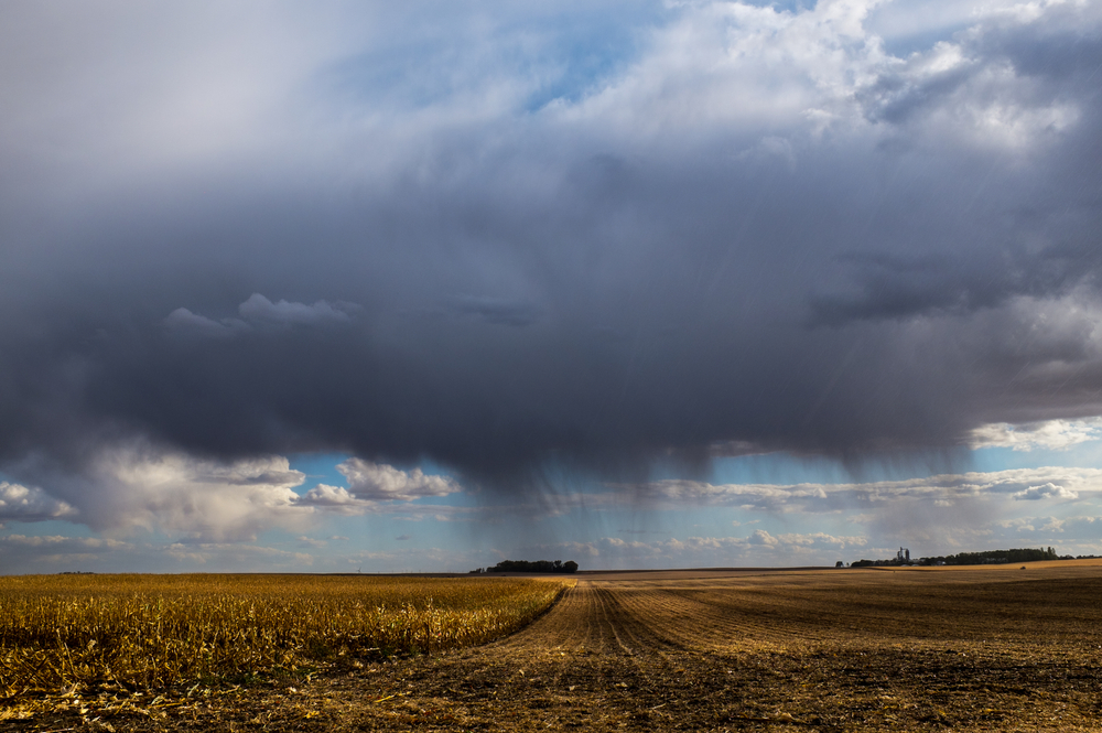 Dolliver, Emmet County, Iowa, Midwest, USA. A sudden rain downpour clouds hangover harvested soybean fields in north central Iowa.  Extra moisture at harvest can damage the soybeans and corn crops.